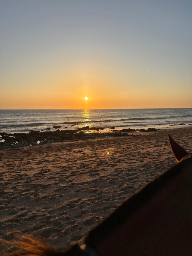 Opinión de Noela sobre Ruta a caballo al atardecer en playa Zahora, 1'5h