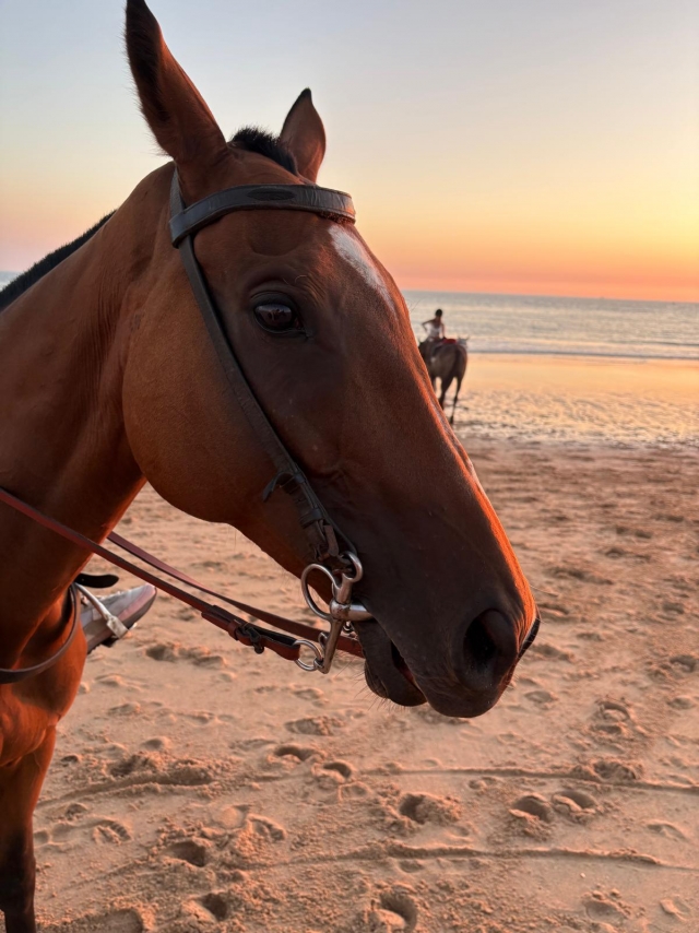 Opinión de Esther sobre Ruta a caballo al atardecer en playa Zahora, 1'5h