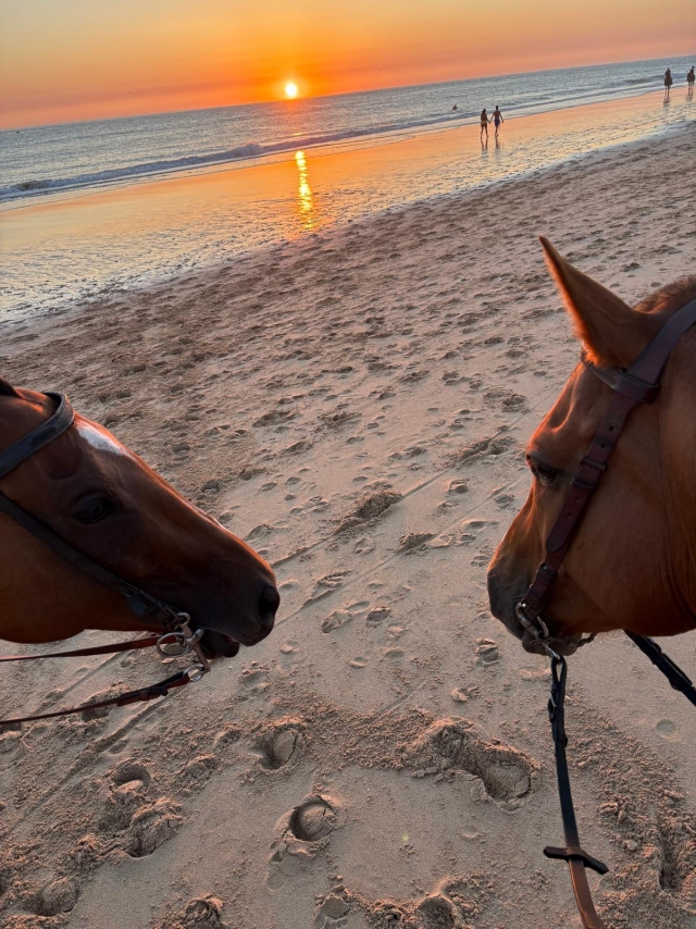 Opinión de Susana sobre Ruta a caballo al atardecer en playa Zahora, 1'5h