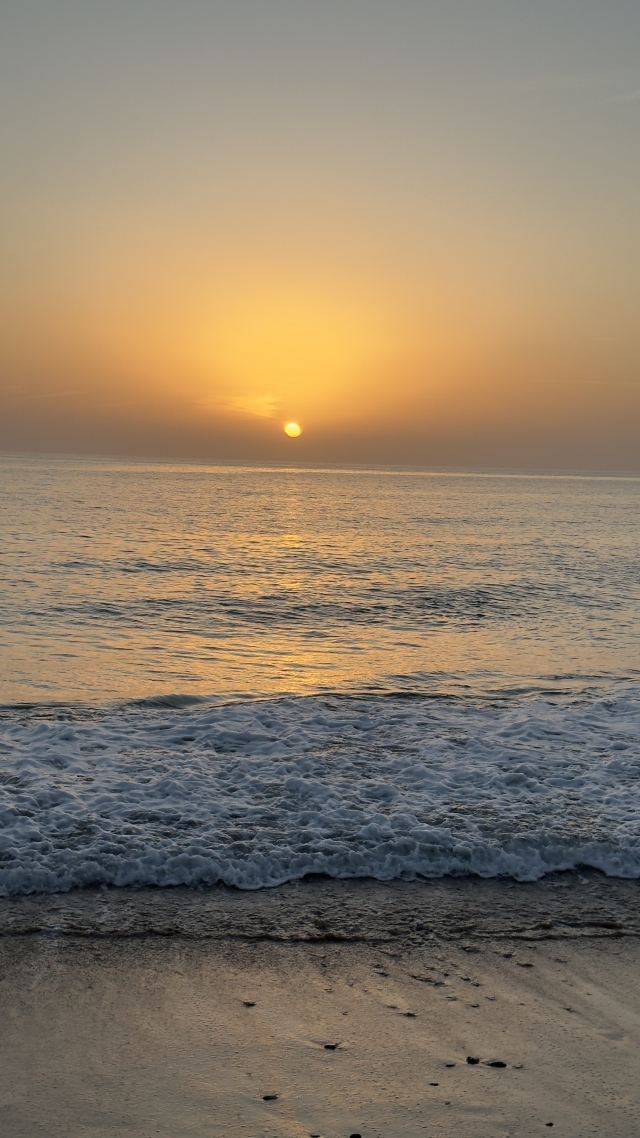 Opinión de Lucio sobre Ruta a caballo al atardecer en playa Zahora, 1'5h Opinión de Lucio sobre Ruta a caballo al atardecer en playa Zahora, 1'5h