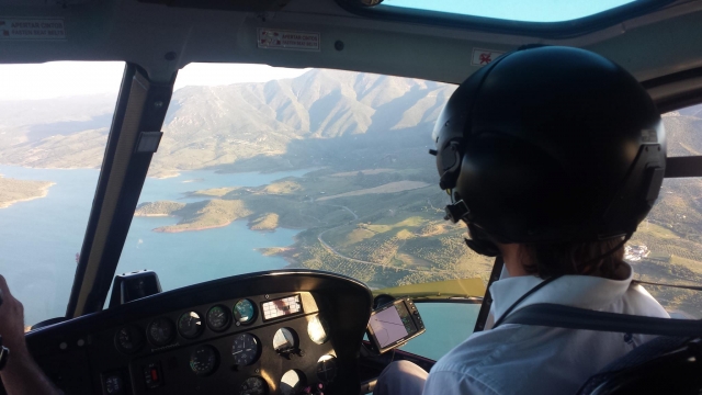 Piloto