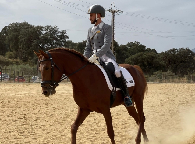  S'amuser avec les chevaux 