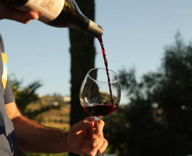  Servire vino rosso 
