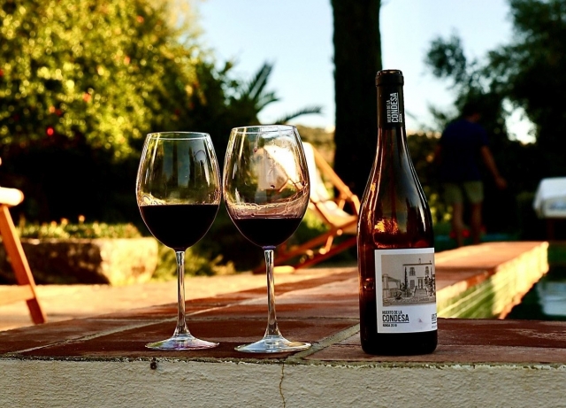  Vino rosso