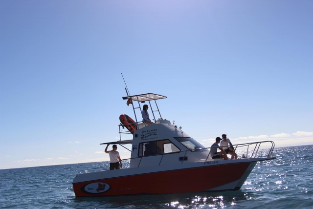 Es ideal para reunir a un grupo de amigos y echarse al mar