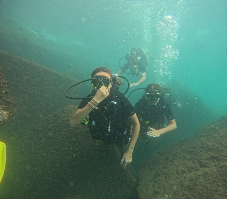  Come dive with us 