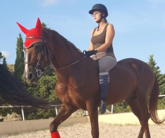 Un equino ataviado de gala para una competición