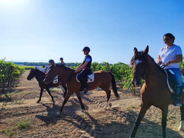  A pleasant walk on horseback under a radiant sun 