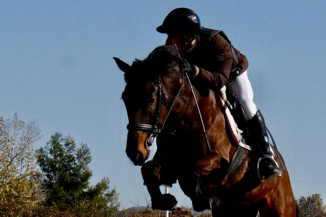Close-up of a rider jumping on a horse 