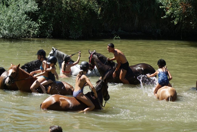  There will also be excursions in which we go into the river 