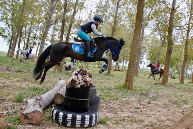  Avoiding some obstacles in the vicinity of the forest 