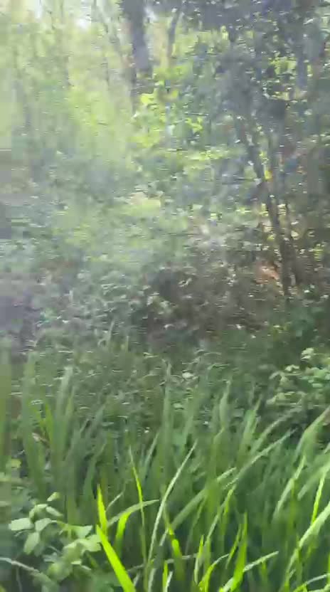 res_o-67919-rutas-a-caballo_de_bruno-merino-sendino_17920600552125.mp4