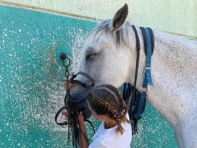  Amore per i cavalli 