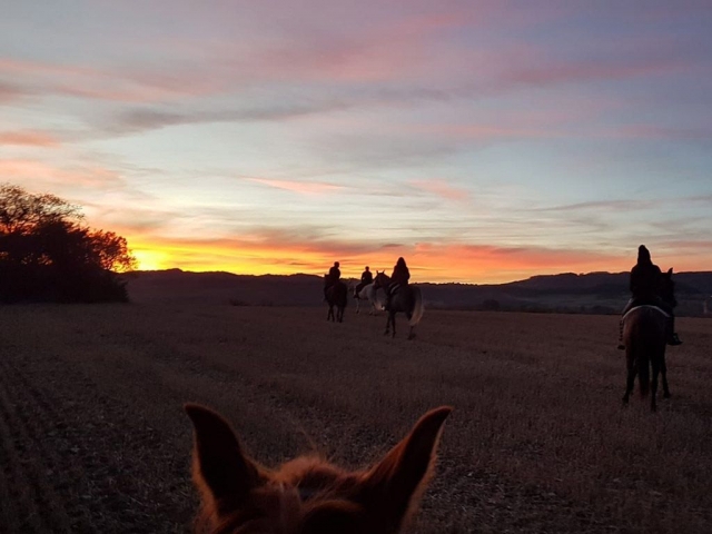  Cavalcata al tramonto 