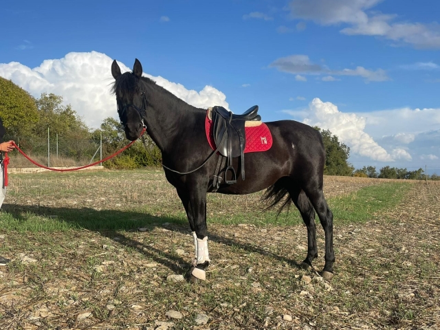  In posa per una foto 