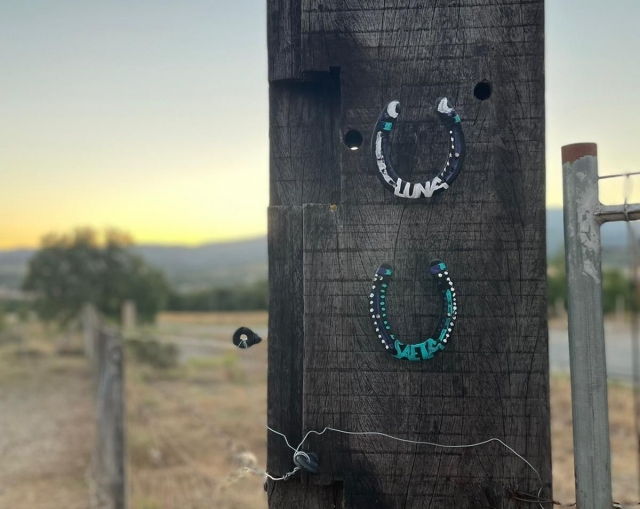  Vieni al nostro cavallo 