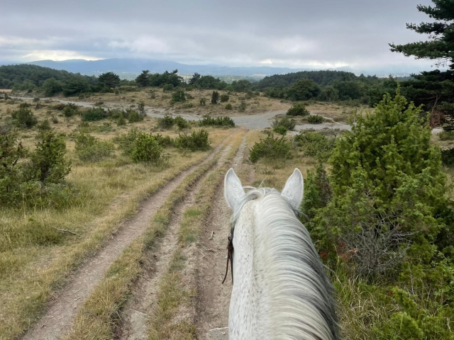  Passeggiate a cavallo 