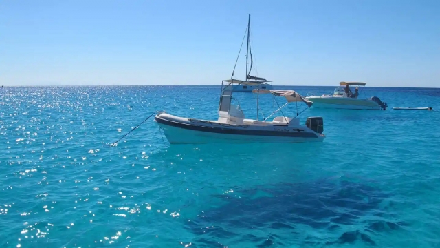  In the calm waters of the island 
