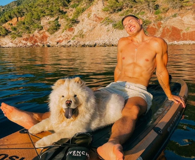 Navega con tu mascota