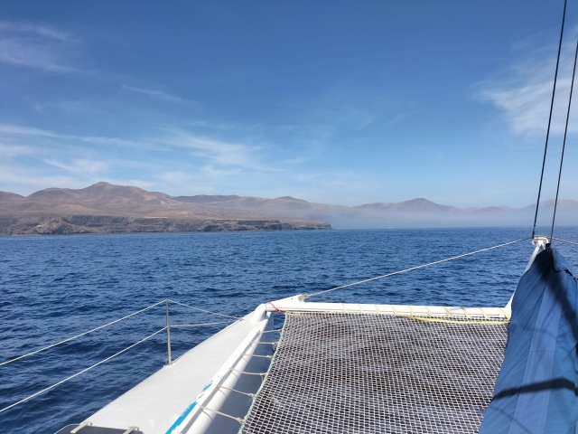  Dans l'Atlantique prêt à voir les dauphins 