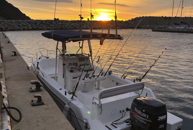  Godersi un giro in barca al tramonto 