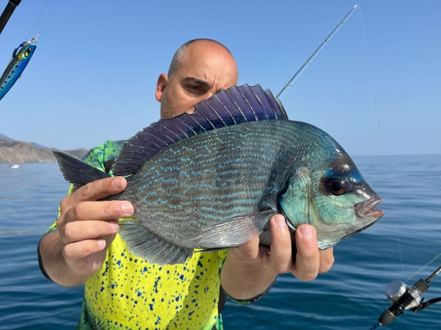  Pesce sulla Costa Brava 