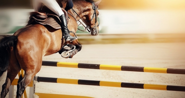  Dressage and jumping classes in Lobios 