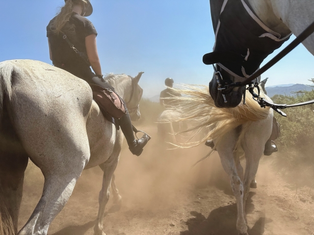 Horseback riding routes 