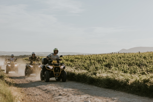  Quad à travers les vignobles de La Rioja 