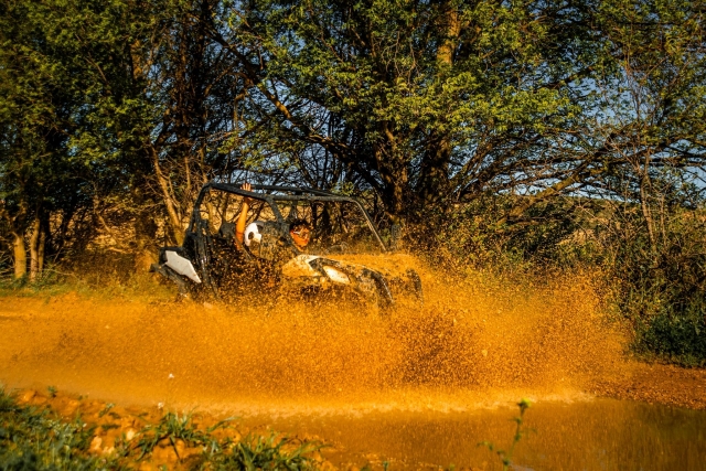  Fahren Sie einen Zweisitzer-Buggy durch Bárdenas 
