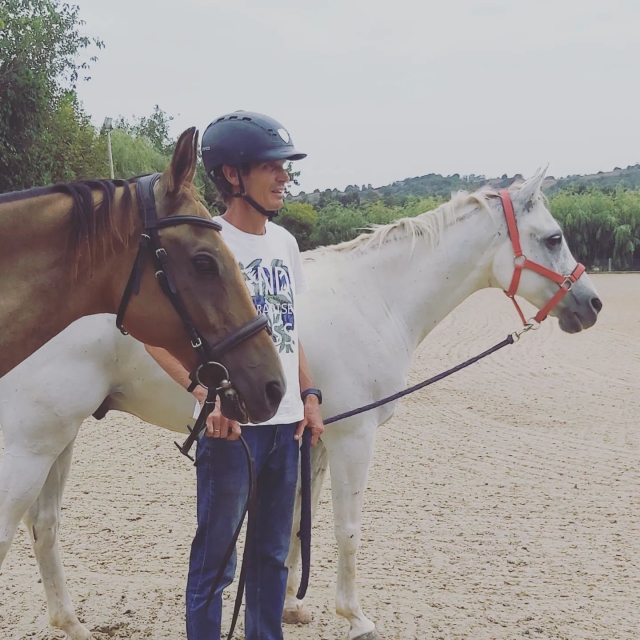  Horses ready to enjoy the horseback riding route 