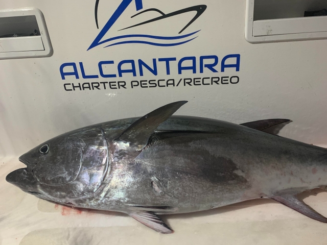  Pesca a Cadice 