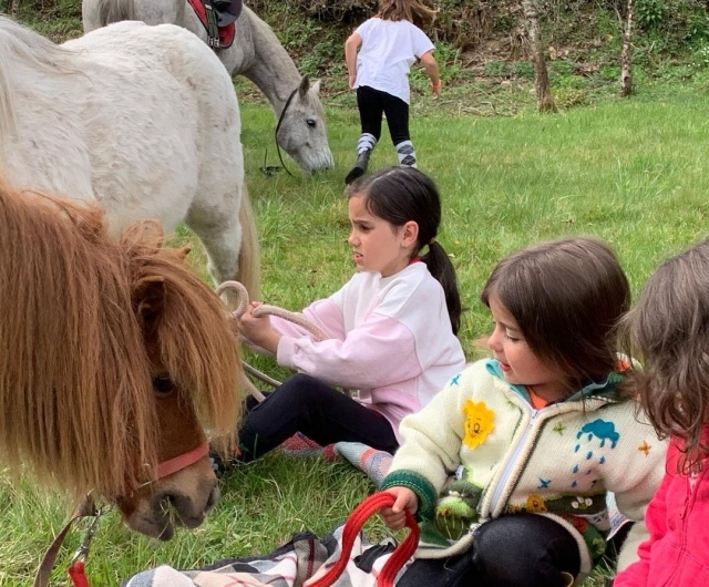  Children taking care of the horses 