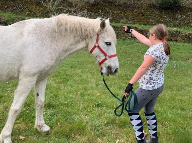  Equestrian camp in Asturias 
