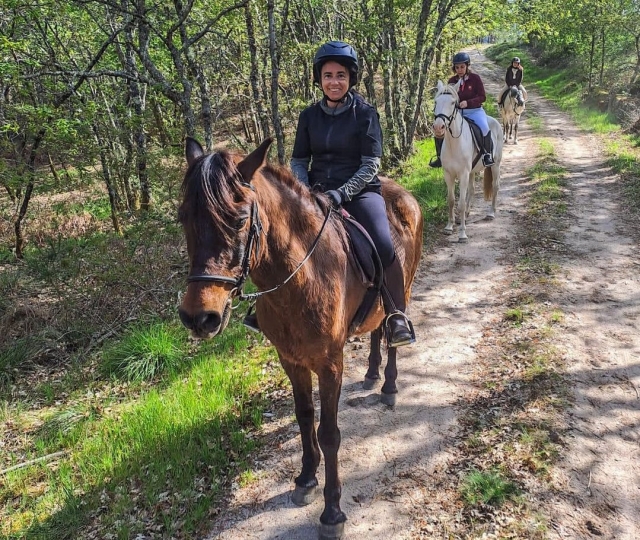  Horses in the mountains of Ourense 