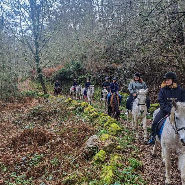  Horseback riding through the Galician fields 
