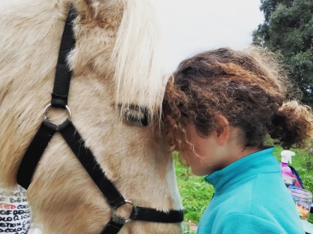  Senti la connessione con il tuo cavallo 