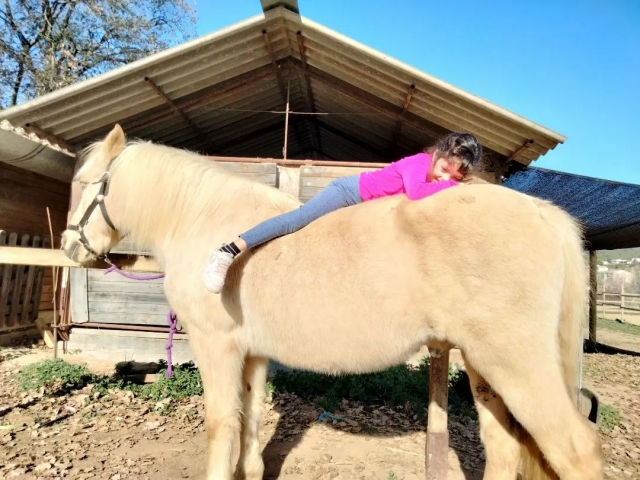  Un pisolino in groppa a un cavallo 