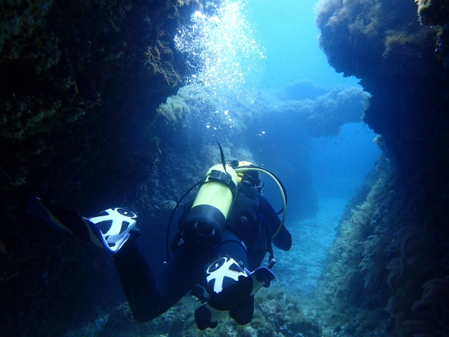 Explorando las profundidades de Menorca