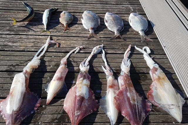 Dia de pesca a bordo