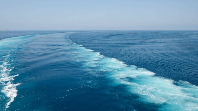  享受大海 
