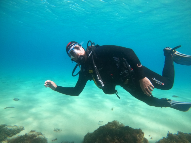 Learn to dive 