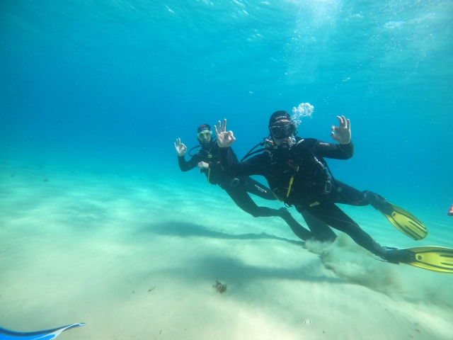  Dive with us 