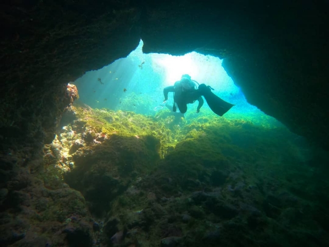 Dive by places incredible 