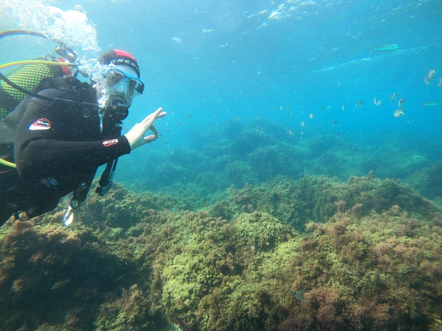  Diving 