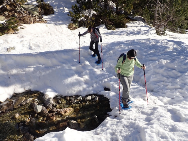  Excursion en raquettes