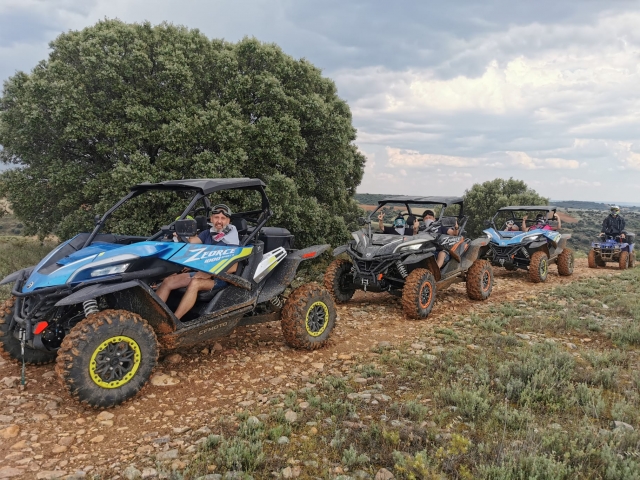  Buggies in the Alta Campiña 