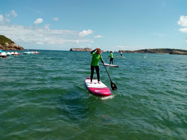 Paddle surf rental 