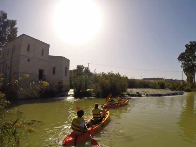  Kayak di gruppo 
