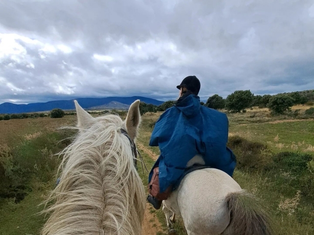  Percorsi a cavallo
